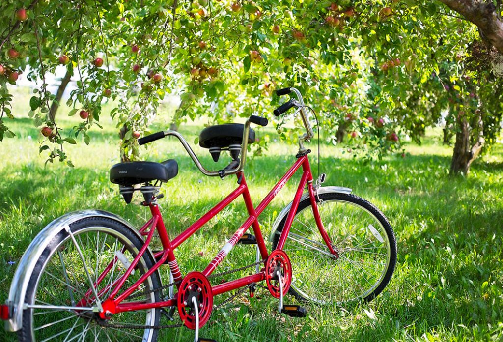 <strong>Are You, as a Couple, on the Same Page?</strong>